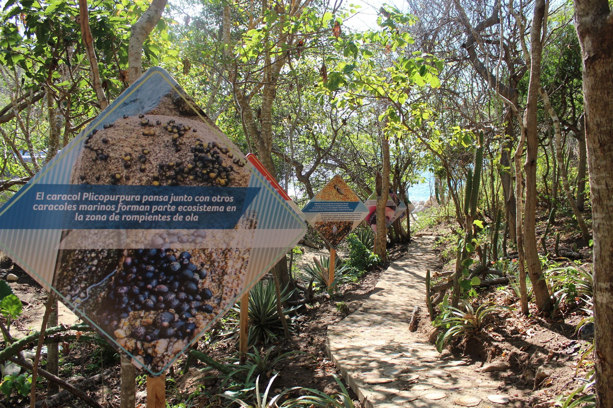 Isla Natura Beach Huatulco Santa Cruz Huatulco Kültér fotó